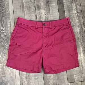 EXPRESS Men’s Fuchsia Shorts